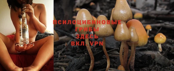 МДПВ Абинск