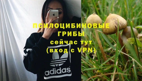 МДПВ Абинск