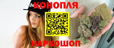 мяу мяу мука Тулун