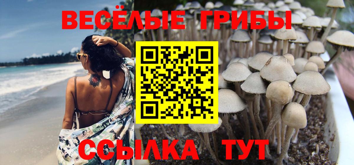 Норильск  Галлюциногенные грибы мицелий  где найти   Вход с VPN 